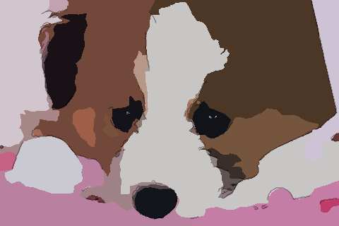 1994年属狗2021年刑太岁佩带什么,94年生肖狗犯太岁如何化解