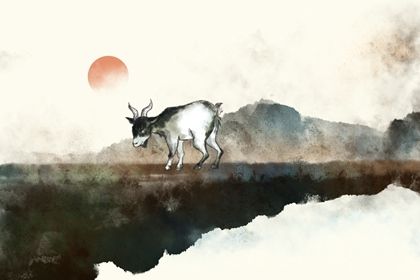 羊1 79属羊人一生婚姻状况 婚姻历程解析