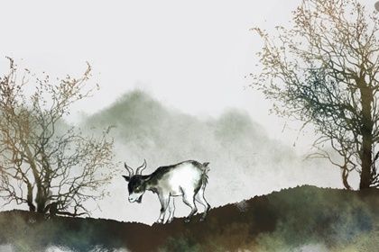 羊2 79年属羊一生大劫年 有三次劫难