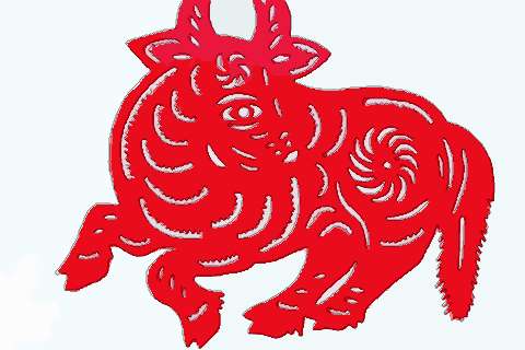 属牛人在2021年本命年中适合投资或者创业吗