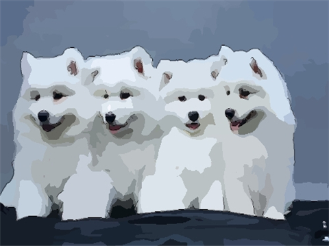 属狗人2022年佩戴什么开运吉祥物:步步高天