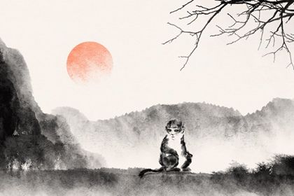 猴7 1980年属猴人一生命运如何 一生有福