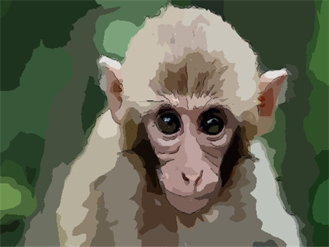 1956年属猴2022年冲太岁要注意什么,56年64岁生肖猴逢虎年运势如何