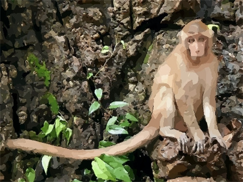 1968年属猴2022年冲太岁要注意什么,68年52岁生肖猴逢虎年运势如何