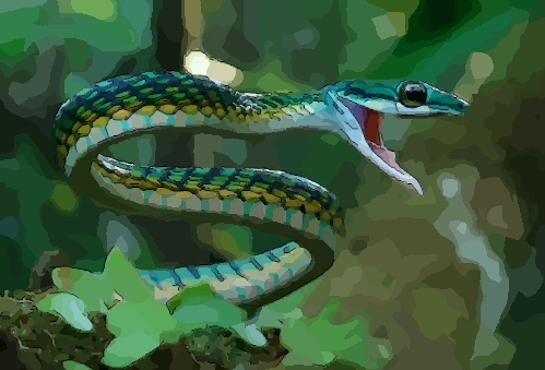 1989年属蛇2022年刑太岁要注意什么,89年33岁生肖蛇逢虎年运势如何