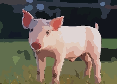 1959年属猪2022年破太岁要佩戴什么,59年63岁生肖猪犯太岁怎么化解