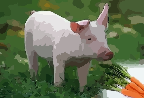 1971年属猪2022年破太岁要佩戴什么，71年51岁生肖猪犯太岁怎么化解