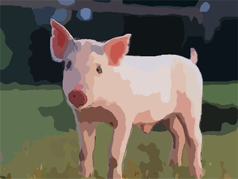 1995年属猪2022年破太岁要佩戴什么，95年27岁生肖猪犯太岁怎么化解