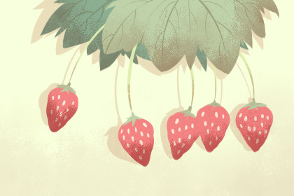 2021芒种是几月几日几点