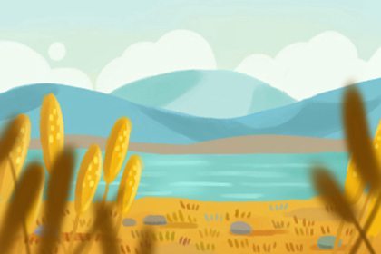 芒种节气的含义 芒种节气的含义 又名忙种抢收农作物