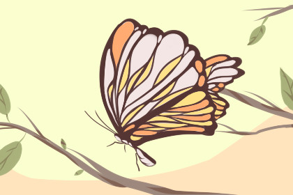 2021芒种节气在什么时候 6月5日18:51:57