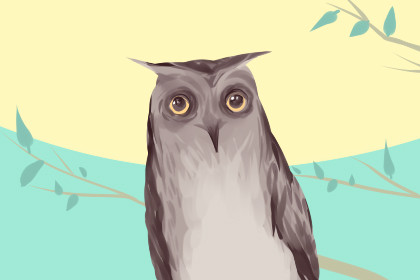 2021芒种节气在什么时候 6月5日18:51:57