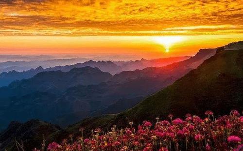 2021年哪几个生肖会出现烂桃花？2021年命犯烂桃花的生肖