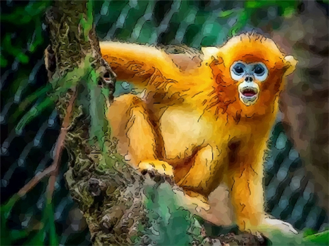 1968年属猴2022年冲太岁要佩戴什么，68年54岁生肖猴犯太岁怎么化解