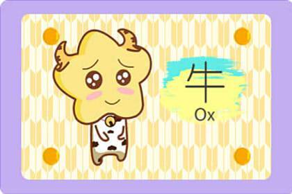 属牛的男孩出生吉日 属牛的男孩出生吉日 6日出生贵人运好