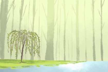 33 1992年猴的大运时间 整体上升不断前行