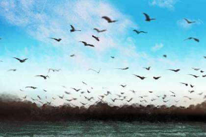 属狗的人可以戴貔貅吗 可以转运提升命运