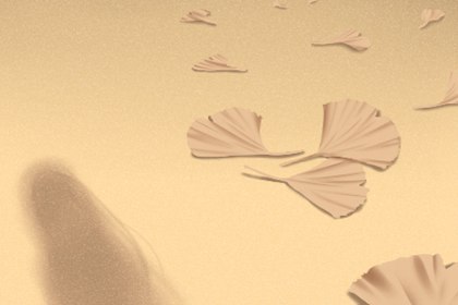 1992年属猴一生怎么样 理智应对守住财富