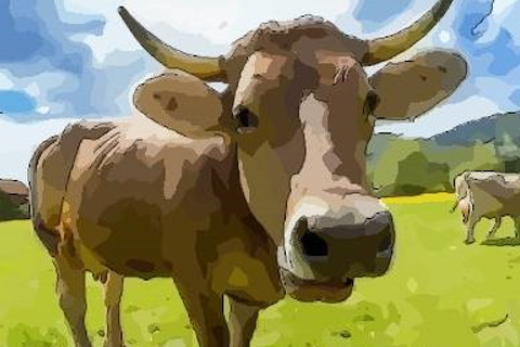 2021牛年哪些人真的犯太岁