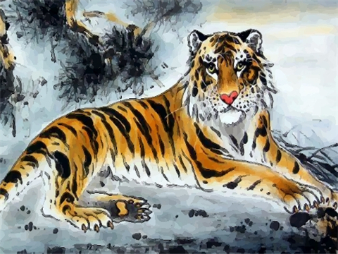 2022年犯太岁的4大生肖,虎年犯太岁需要注意什么