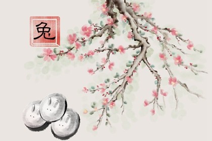 78年属马的适合什么吊坠 佩戴老虎图案的吊坠 78年属马的适合什么吊坠 佩戴老虎图案的吊坠