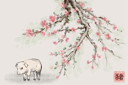 1971年属猪人2022年运势运程 注意实际行动 1971年属猪人2022年命运运程 注意实际行动