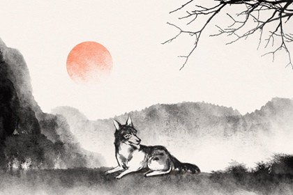 1982年属狗一生运势 工作努力运势平稳 1982年属狗一生命运 工作努力命运平稳