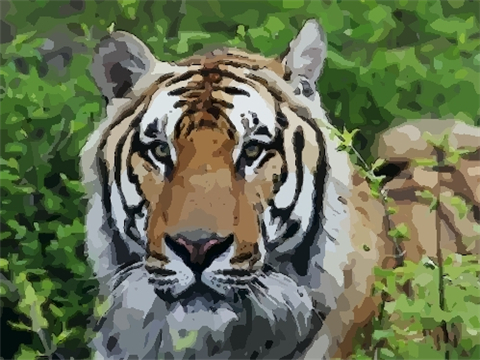 2022年属虎男生本命年送什么礼物好，虎年男士本命年适合送什么转运饰品