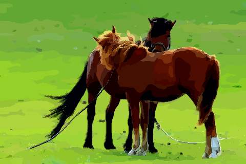 一月马命运怎么样属于什么命