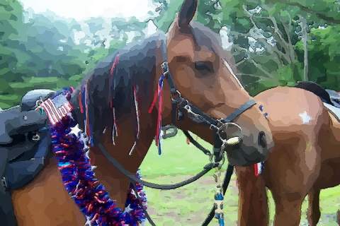 跟你说说属马正月出生命运如何