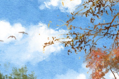 男牛女虎结婚的幸福吗 迟早会出问题