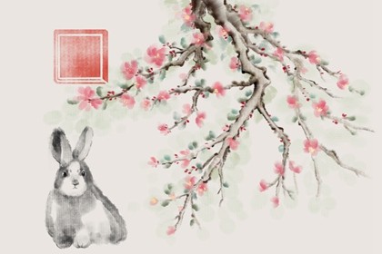 2022年的虎什么月份比较好 2月虎一出生旺父母 2022年的虎什么月份比较好 2月虎一出生旺父母