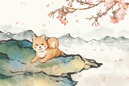 2022年属虎年犯太岁的生肖 不要结婚下降厉害 2022年属虎年犯太岁的生肖 不要结婚下降厉害