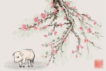 67年属羊女一生的命运 比较波折需要磨练