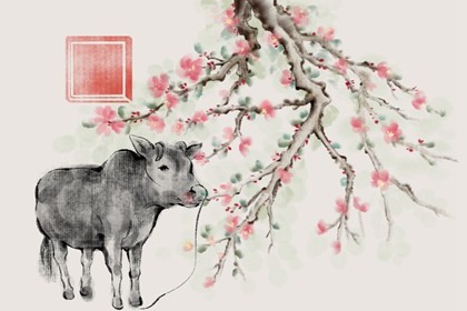 牛年1973年出生的命运 夫妻携手白首到老 牛年1973年出生的命运 夫妻携手白首到老