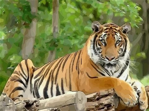 1962年属虎本命年要注意什么，62年60岁2022年本命年佩戴什么好