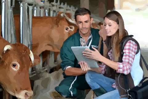 说说容易翻脸不认人的三大星座