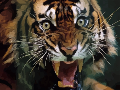 1974年属虎本命年要注意什么，74年48岁2022年本命年佩戴什么好