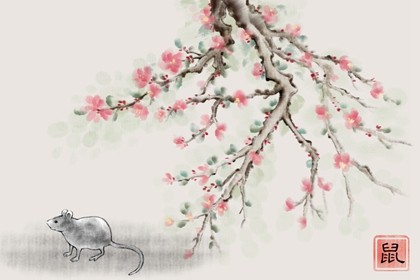 2022年一月生的孩子属什么 注意看好生辰八字 2022年一月生的孩子属什么 注意看好生辰八字