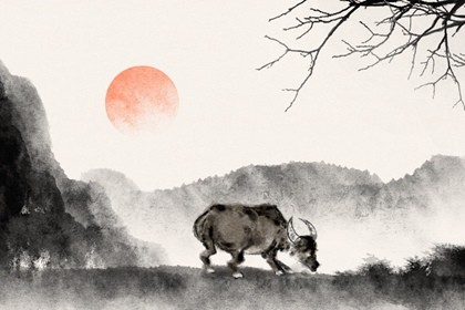 99年属兔男的婚姻怎么样 爱情品质高坚持不久 99年属兔男的婚姻怎么样 爱情品质高坚持不久