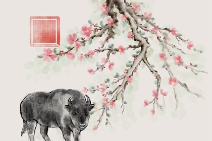 73年属牛吉利手机号 根据五行选数字 73年属牛吉利手机号 根据五行选数字