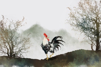 1996年女鼠的姻缘 注意匹配扩展交际 1996年女鼠的姻缘 注意匹配扩展交际