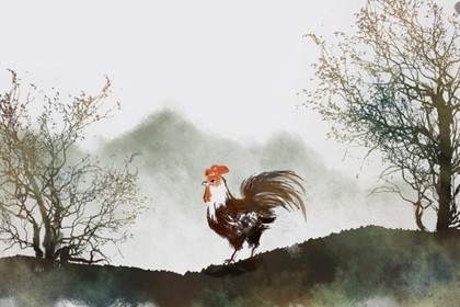 93属鸡几月的是凤凰命 命运不错财运很好