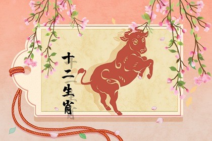 属牛人在2022年的幸运色是红色 能带来事业贵人 属牛人在2022年的幸运色是红色 能带来事业贵人