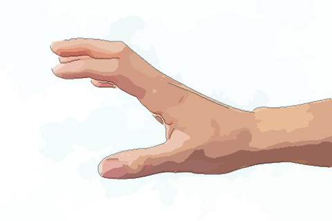 男人哪种手相命运最好生活富裕