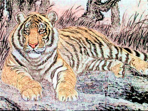 2022年属虎女生本命年戴什么首饰好，虎年本命年女性佩戴什么好