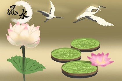 大海的画挂在家里哪个位置好 比较关注关系命运