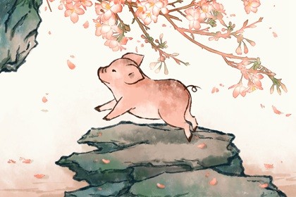 属猪1971一生命运 运势稳定做事顺利 属猪1971一生命运 命运稳定做事顺利