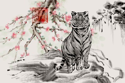 1986年属虎35岁后转运 事业突飞猛进感情顺遂 1986年属虎35岁后转运 事业突飞猛进感情顺遂