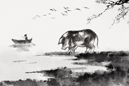 1971年属猪人运程 比较幸福烦恼较少